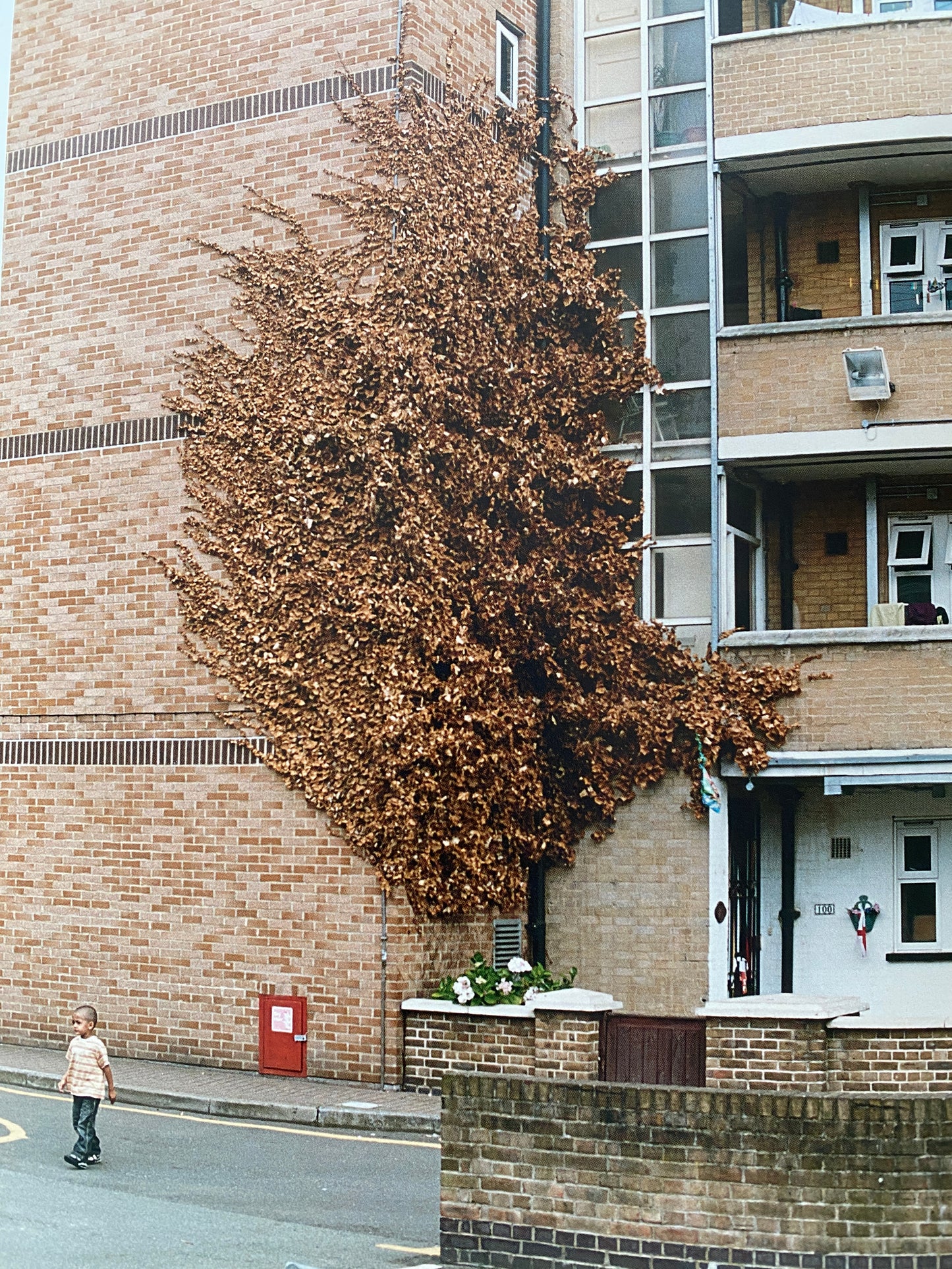 SERPENTINE GALLERY (2010)