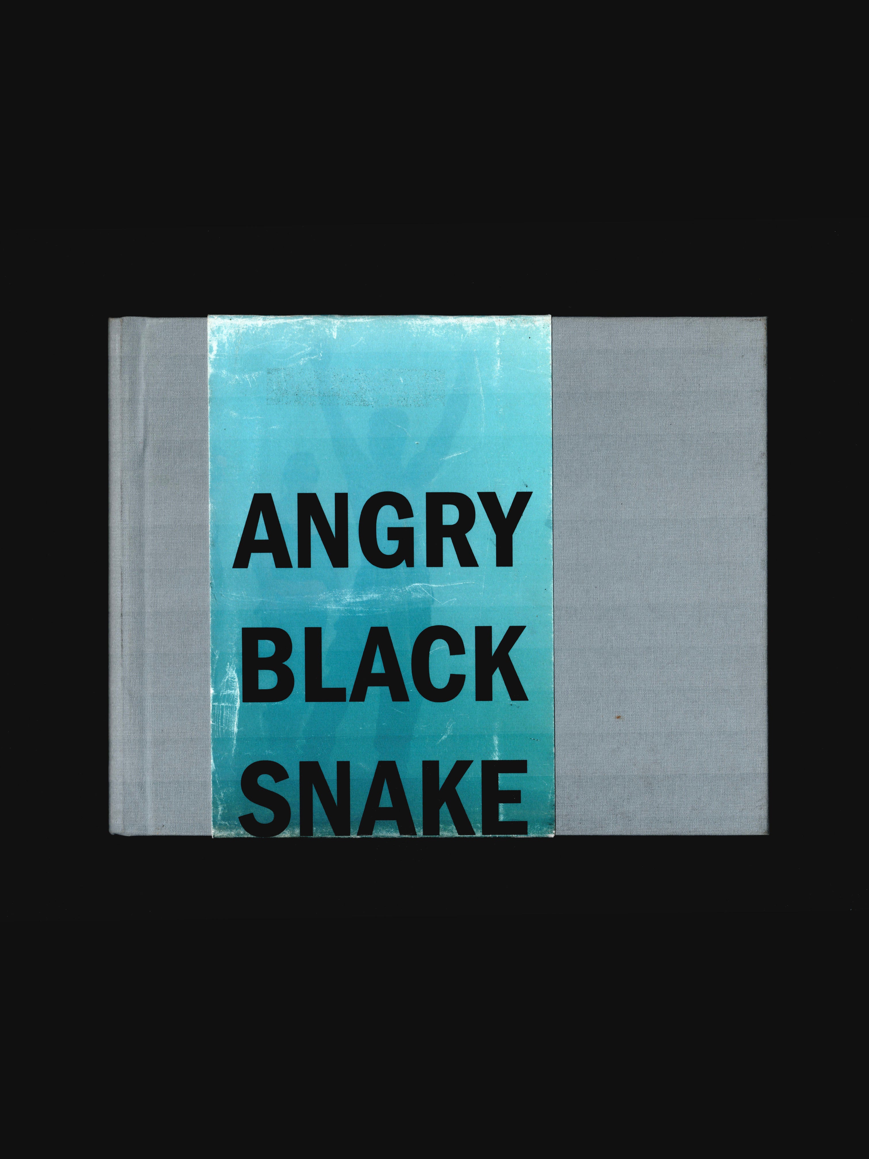 ANGRY BLACK SNAKE (2006)