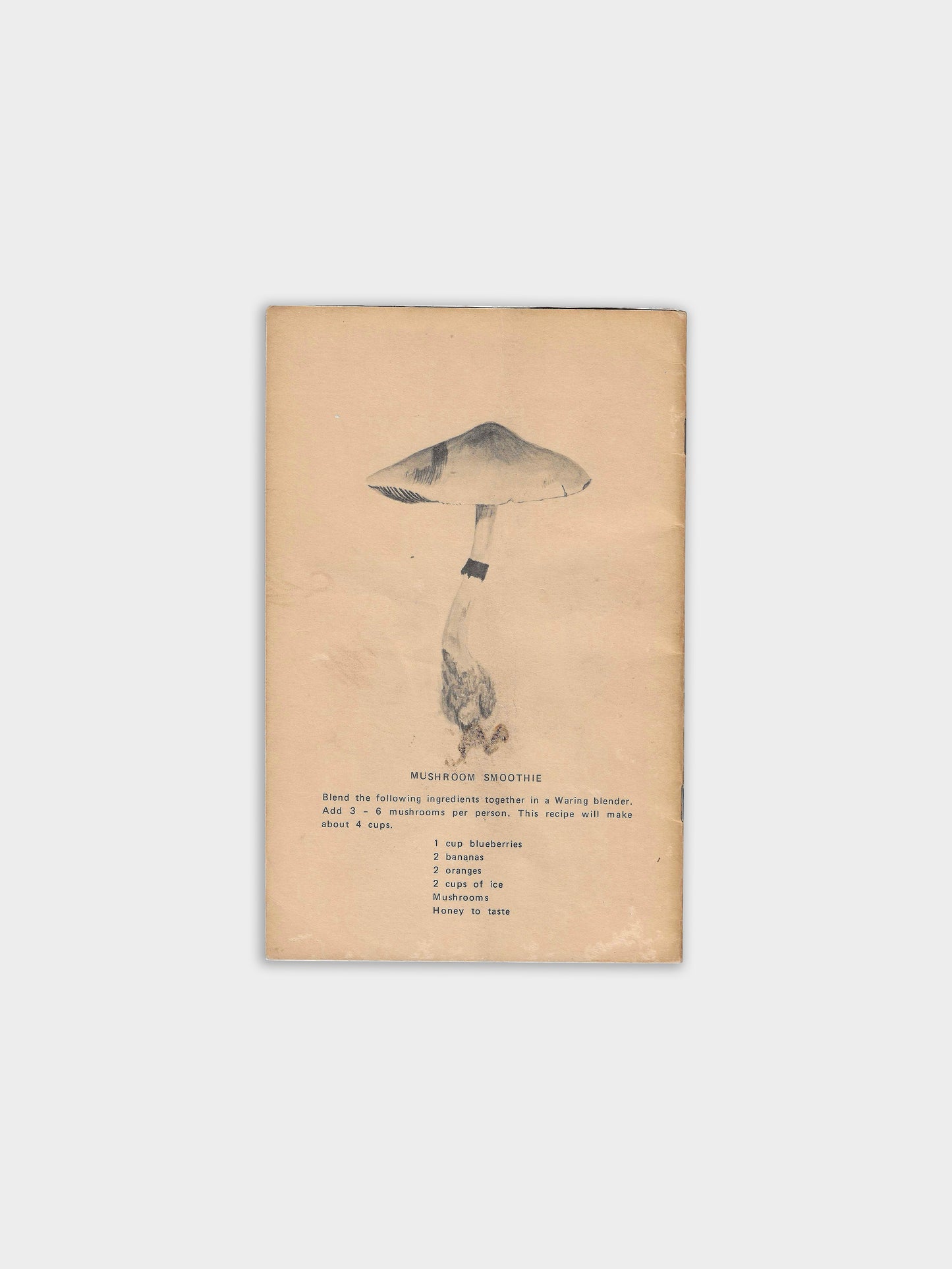 FIELD GUIDE TO THE PSILOCYBIN MUSHROOM (1972)