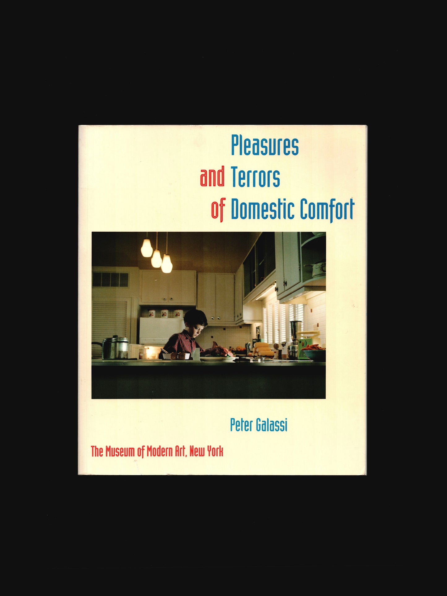 PLEASURES AND TERRORS OF DOMESTIC COMFORT (1991)