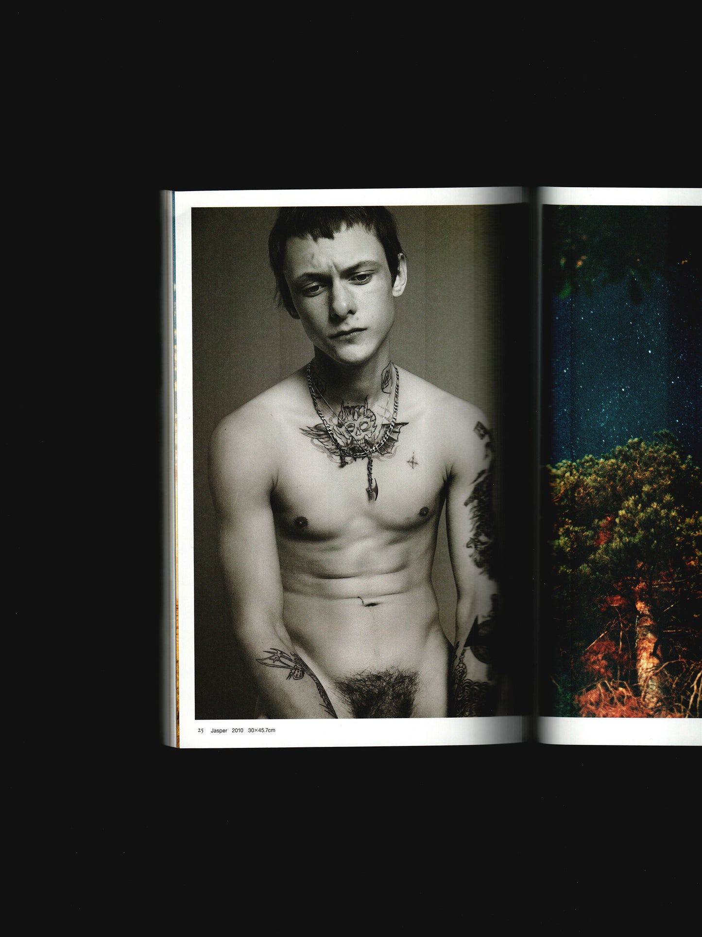 RYAN MCGINLEY SPECIAL (2012)