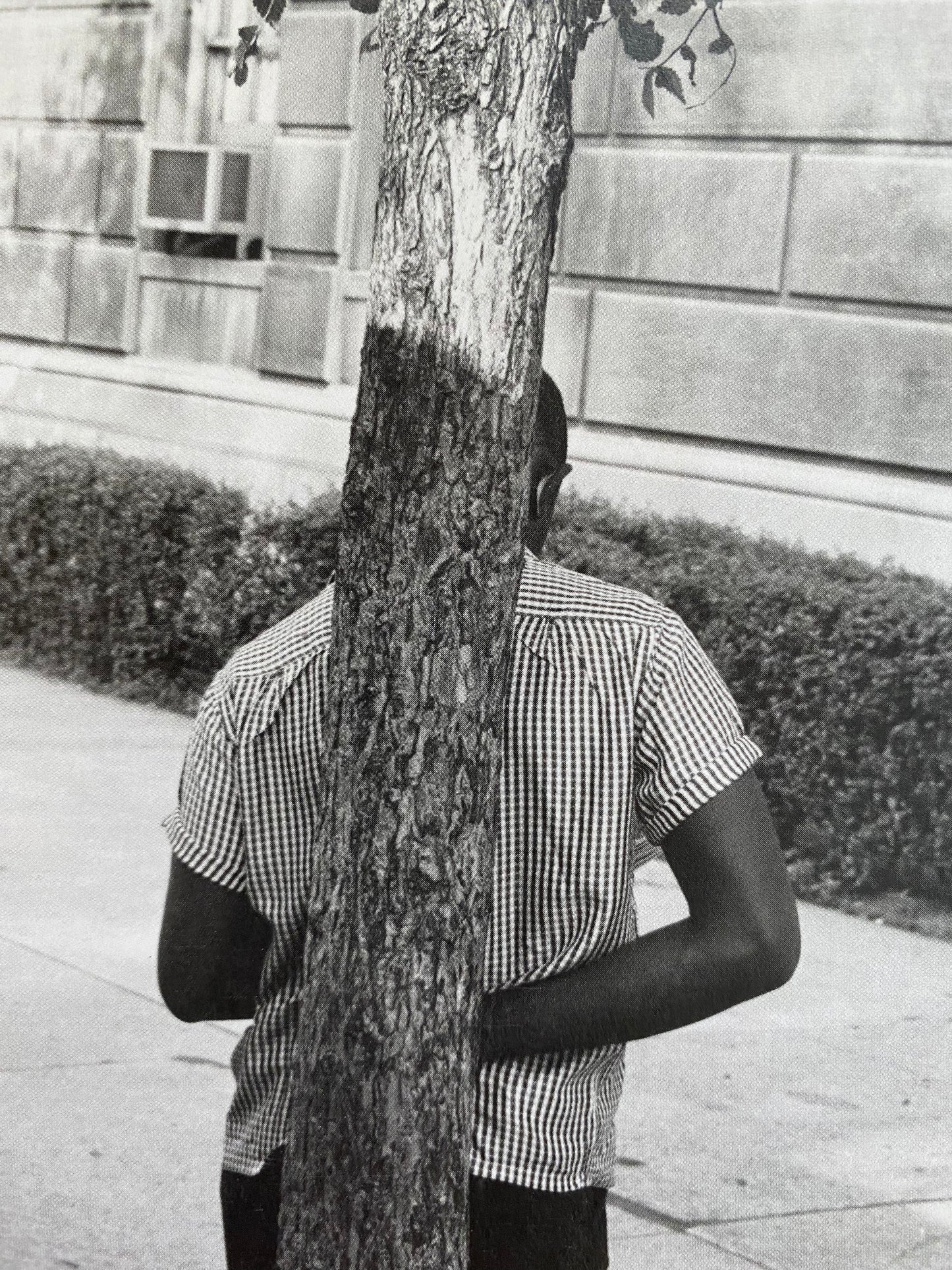 Robert Frank - Storylines (2004)